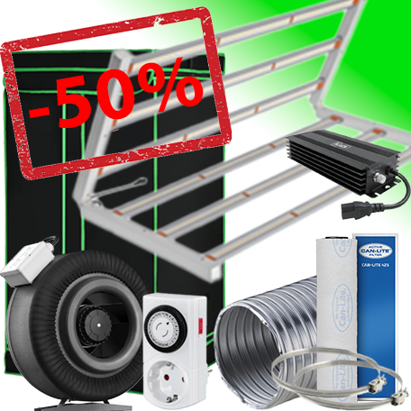 Ein allgemeines Bild